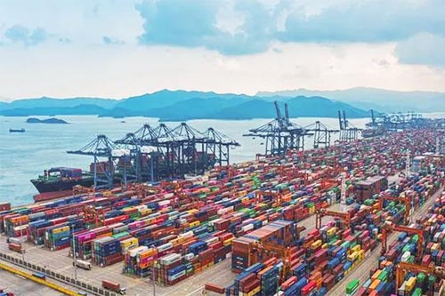 鹽田清理堆積集裝箱需1-3月！