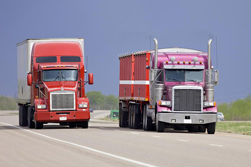 美國海卡、海派是什么？有什么區(qū)別